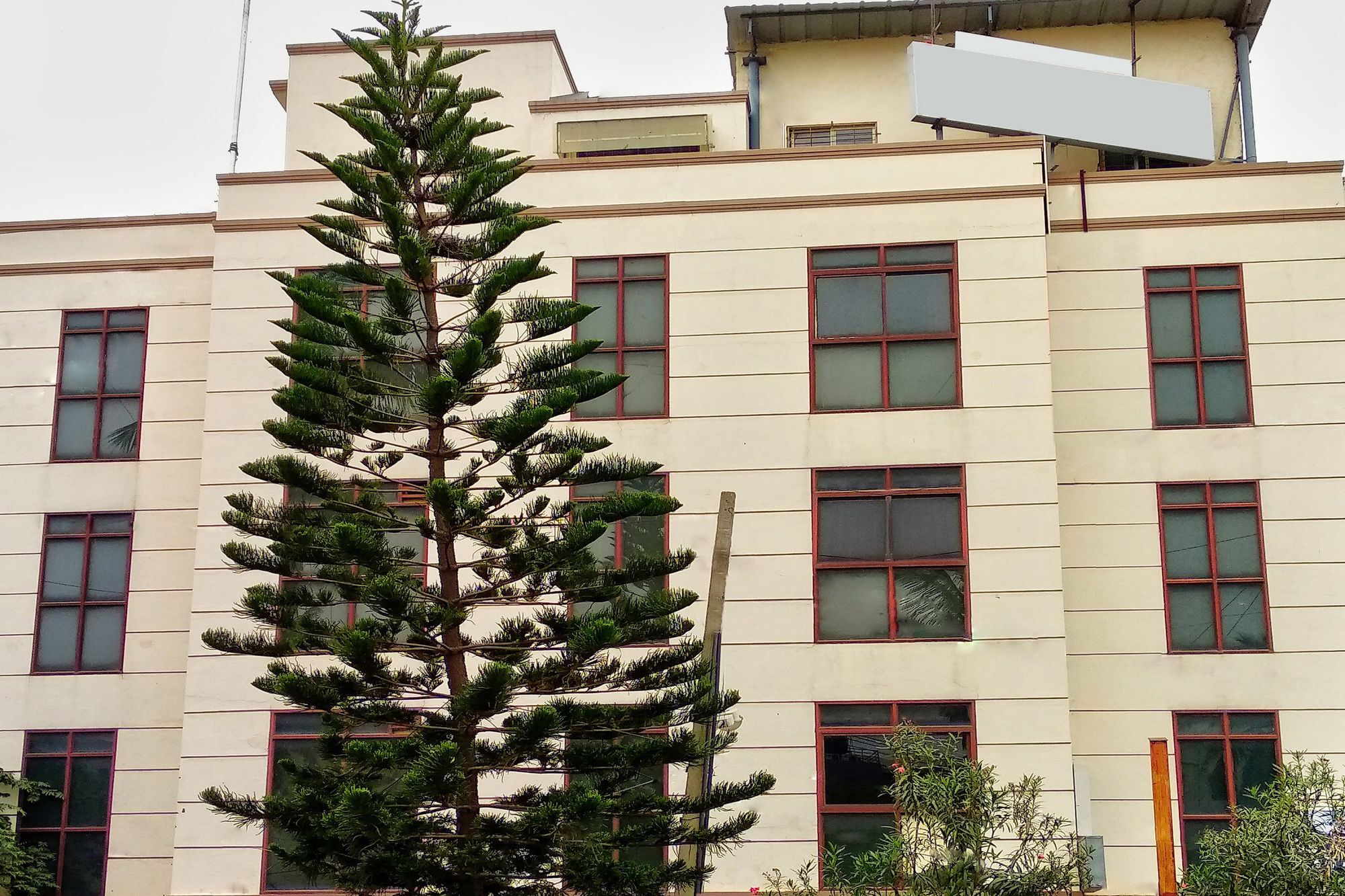 Oyo 539 Hotel Pearl Inn Bangalore Eksteriør bilde